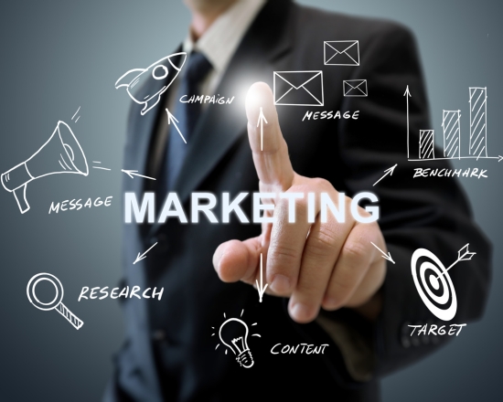 Master Digital Marketing Strategies with Ztrade investments Insights